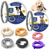 Summer Insect Repellent Collar for Cats and Dogs