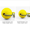 Dog Training Ball on Rope