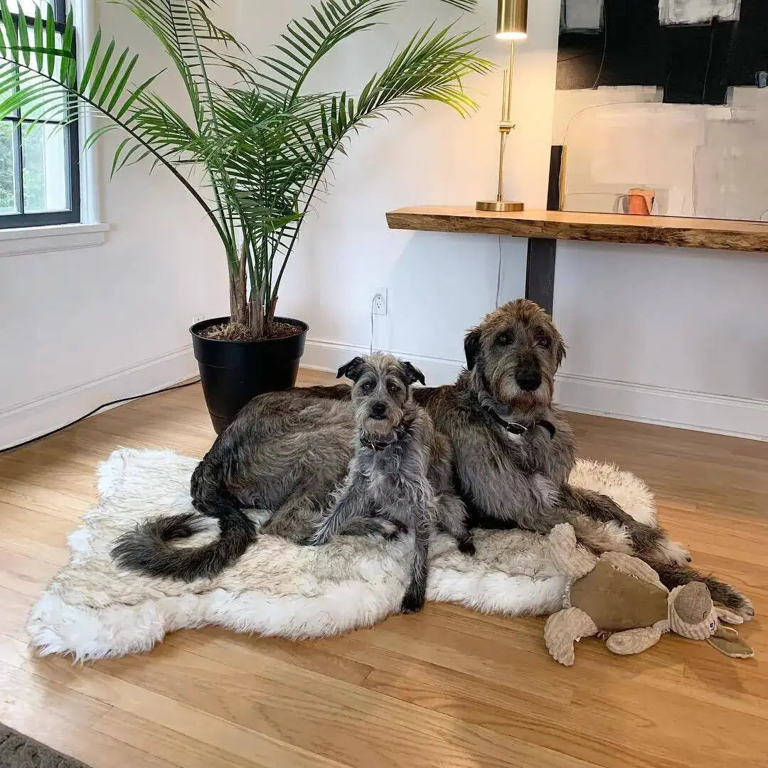 Faux Fur Dog Bed - American Ecommerce