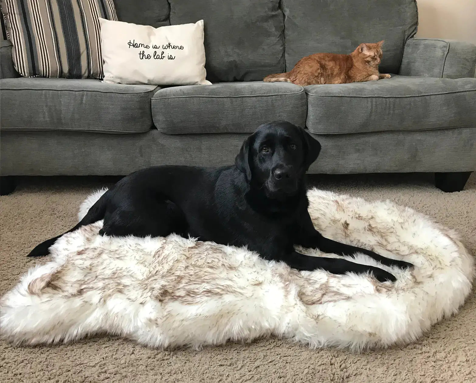 Faux Fur Dog Bed - American Ecommerce