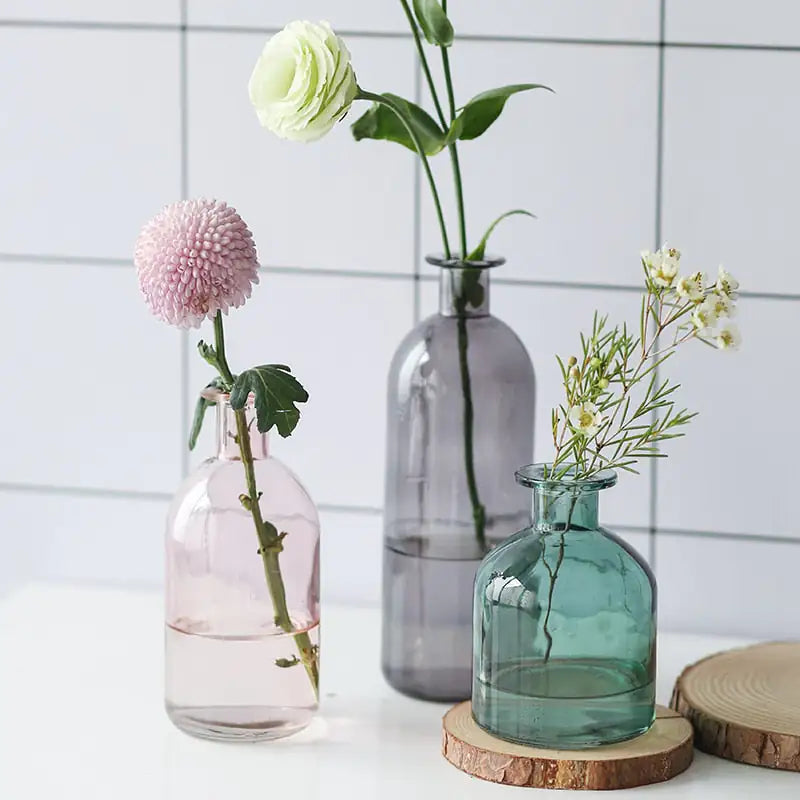 Nordic Glass Flower Vase Decor - American Ecommerce