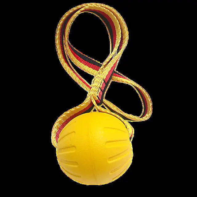 Dog Training Ball on Rope